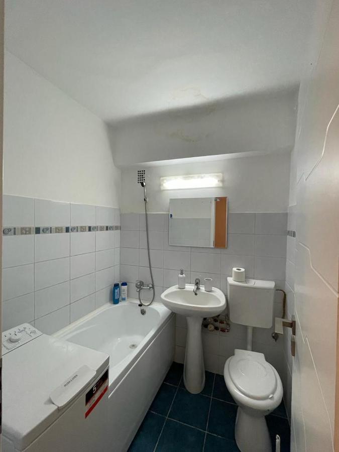 Bega Circumvalatiunii 1 Room Apartament - 2 Тимишоара Экстерьер фото